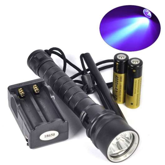 10W UV dyk ficklampa, 3000lm, 395-400nm, inkl. 2x 4000mAh batterier