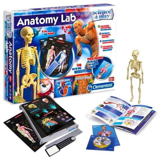 Anatomy Lab Människokroppen Spel