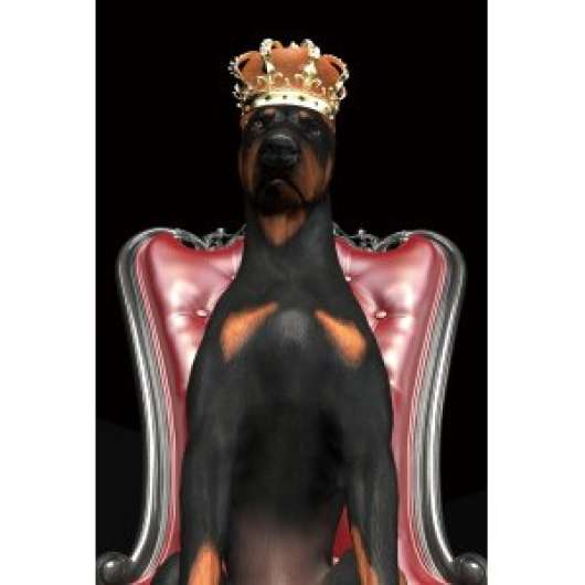 Dog in crown glastavla - 80x120 cm