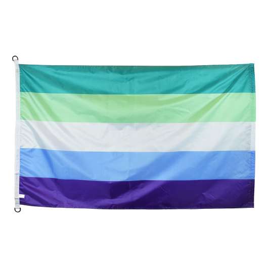 Flaggstångsflagga Pride Gay