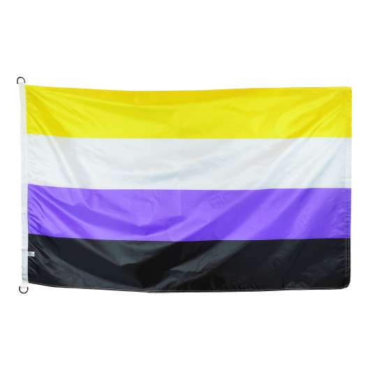 Flaggstångsflagga Pride Ickebinär