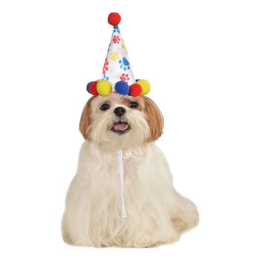 Födelsedagshatt för Hundar - Small/Medium