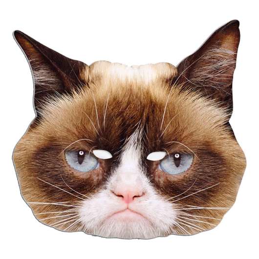 Grumpy Cat Pappmask - One size