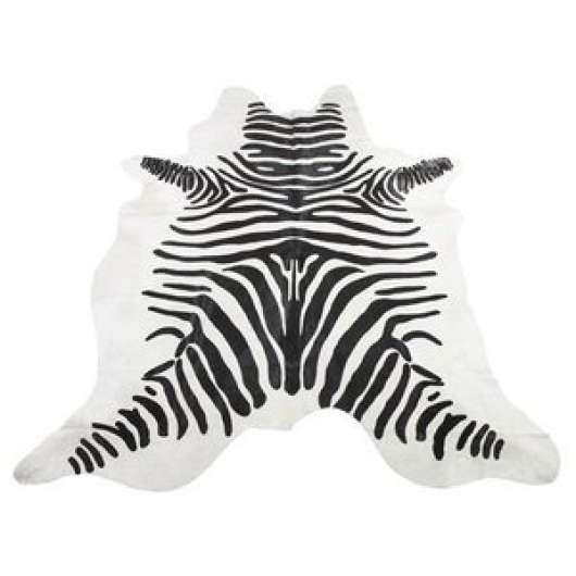 Koskinn Zebra