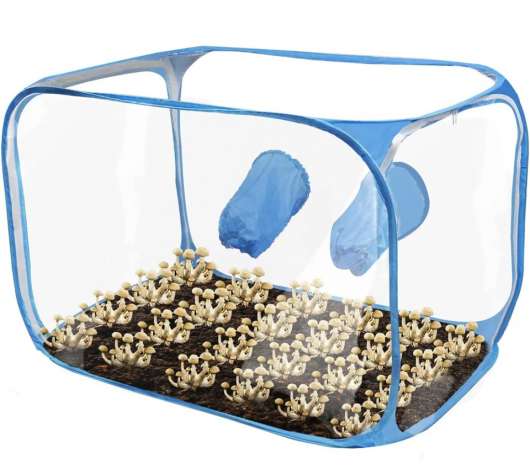 SAB Still Air Box för svampodling och mobilreparationer, XL - 90x 59 x58cm